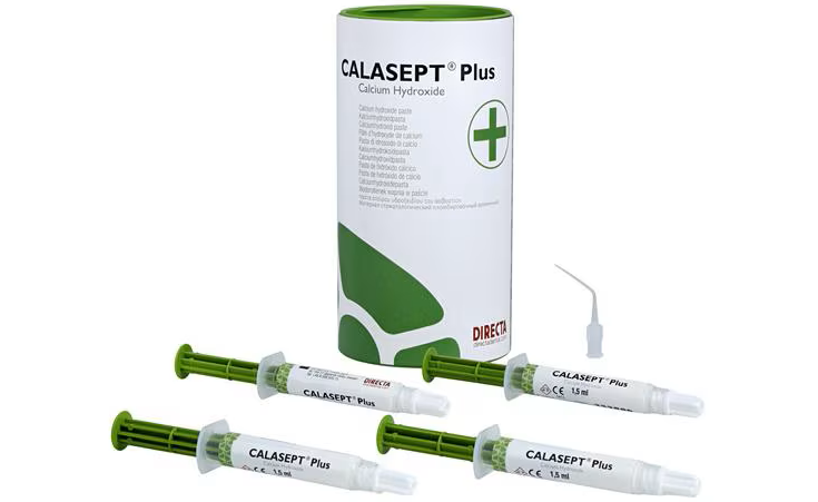 CALASEPT PLUS LARGE KIT